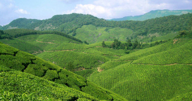 NEPAAL, VIETNAM, INDIA!!!! NEPAAL, VIETNAM, INDIA!!!!