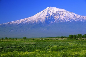 Türgi Ararat