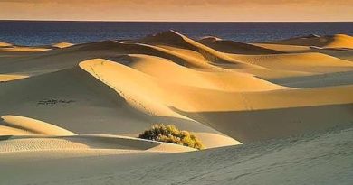 Fuerteventura Fuerteventura